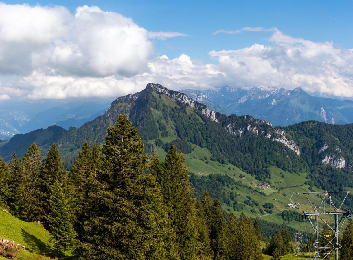 Rigi-Burggeist Alpine Guesthouse Герзау Екстериор снимка
