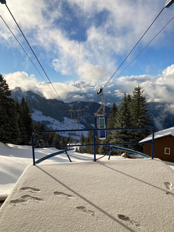 Rigi-Burggeist Alpine Guesthouse Герзау Екстериор снимка