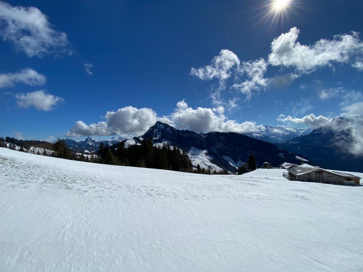 Rigi-Burggeist Alpine Guesthouse Герзау Екстериор снимка