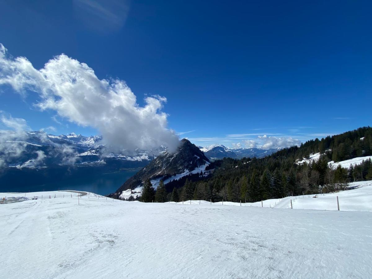 Rigi-Burggeist Alpine Guesthouse Герзау Екстериор снимка