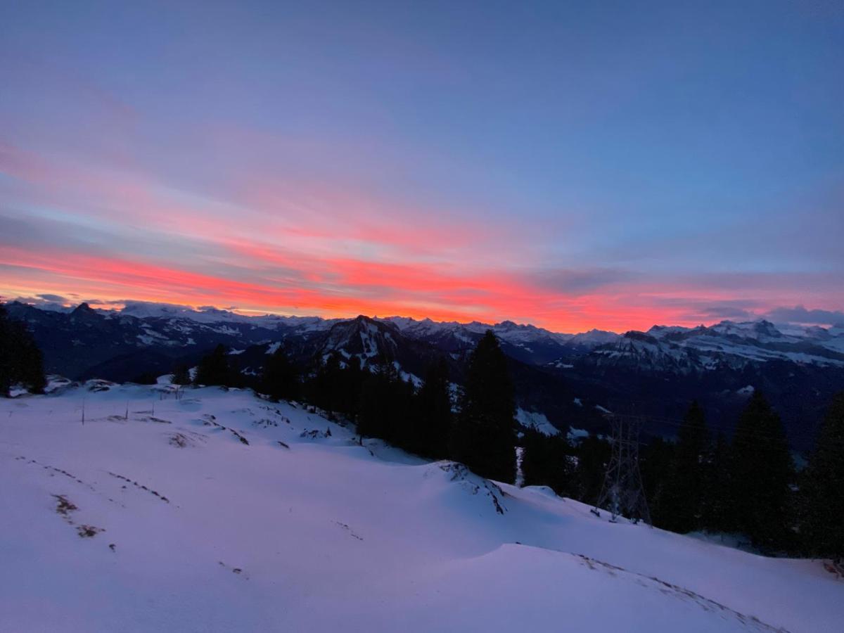 Rigi-Burggeist Alpine Guesthouse Герзау Екстериор снимка