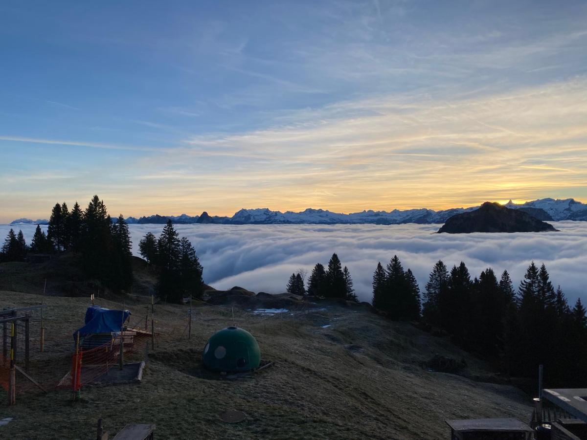 Rigi-Burggeist Alpine Guesthouse Герзау Екстериор снимка