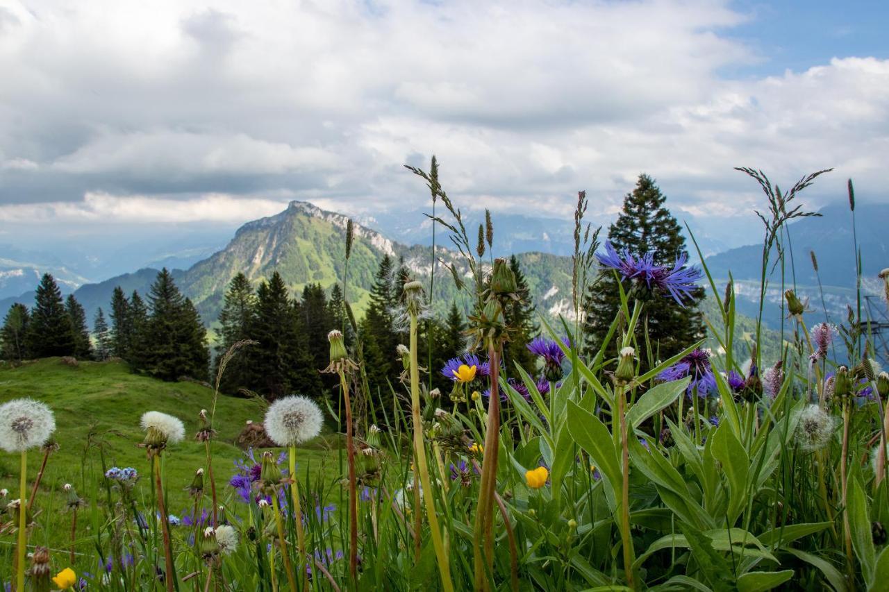 Rigi-Burggeist Alpine Guesthouse Герзау Екстериор снимка