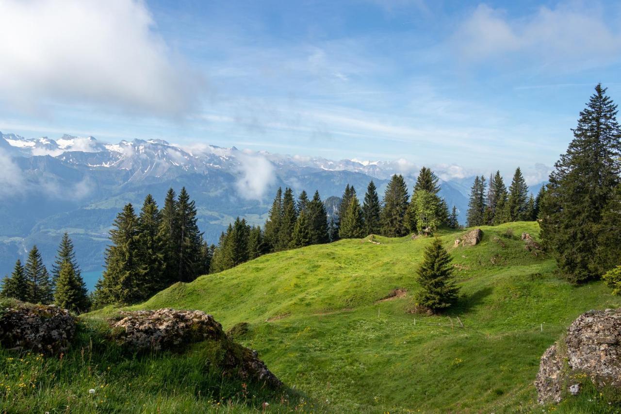 Rigi-Burggeist Alpine Guesthouse Герзау Екстериор снимка