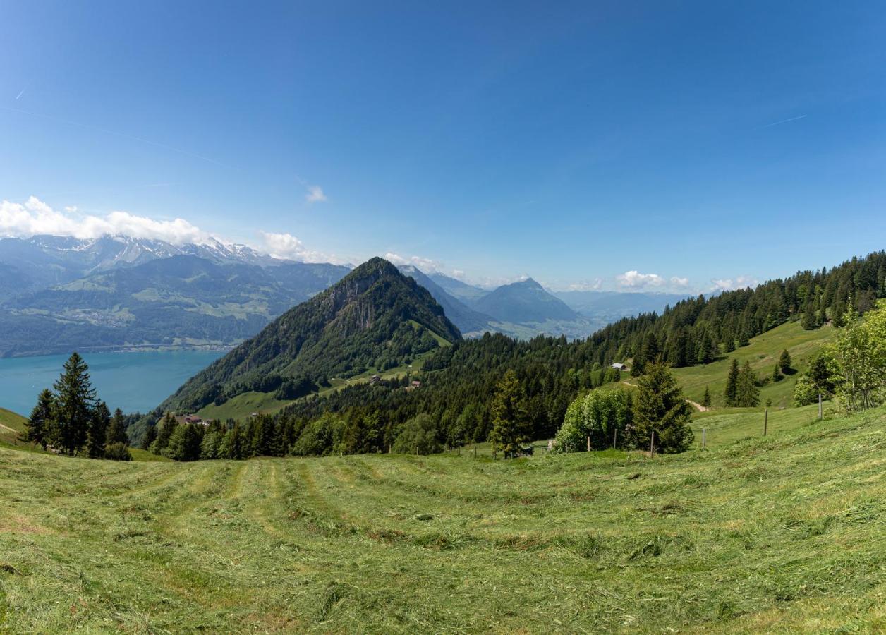 Rigi-Burggeist Alpine Guesthouse Герзау Екстериор снимка