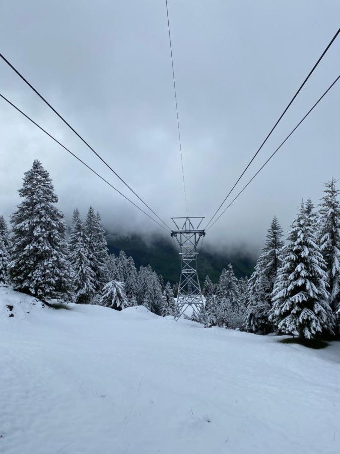 Rigi-Burggeist Alpine Guesthouse Герзау Екстериор снимка